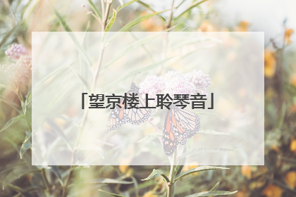望京楼上聆琴音